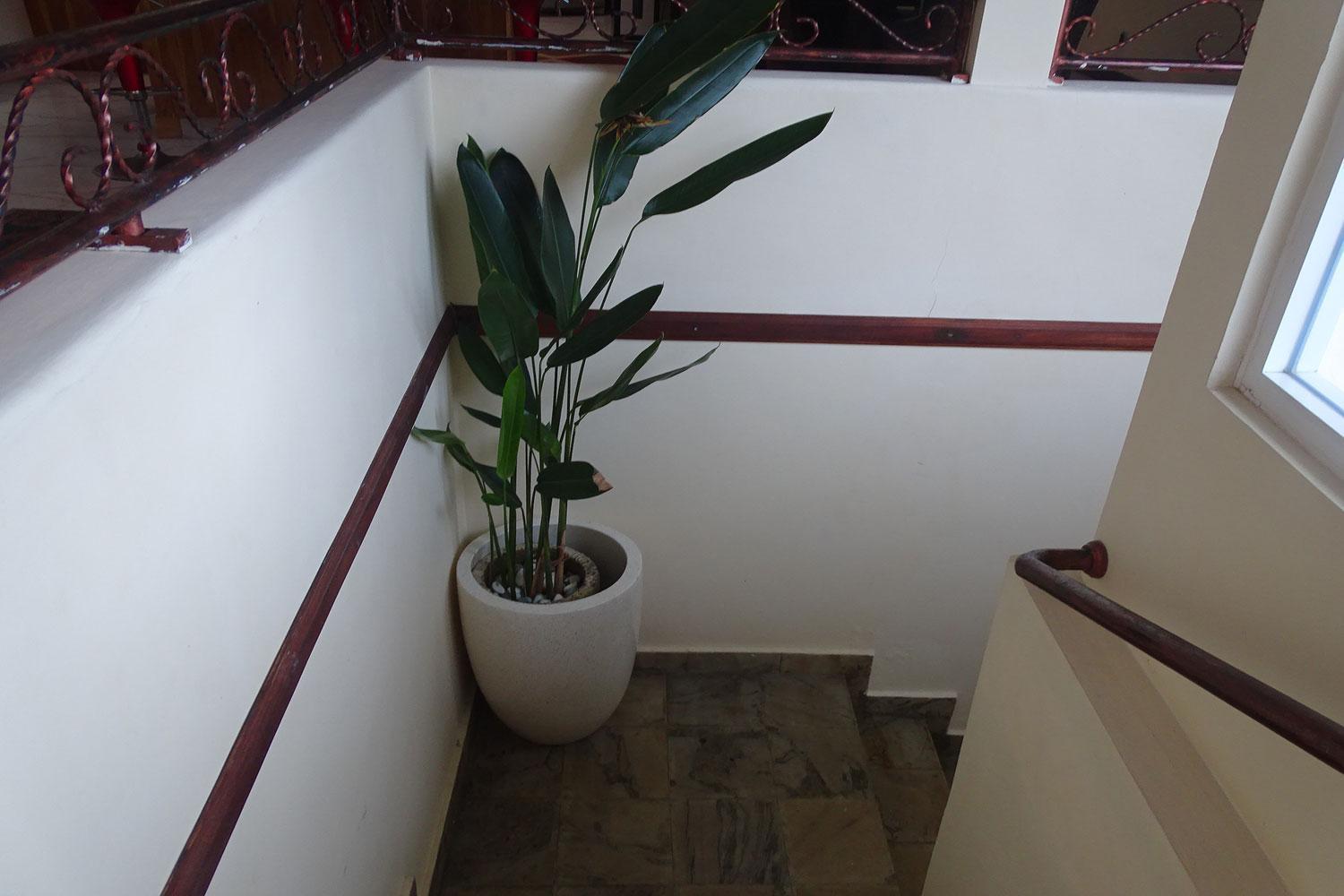 Villa Ebel Lovina Εξωτερικό φωτογραφία